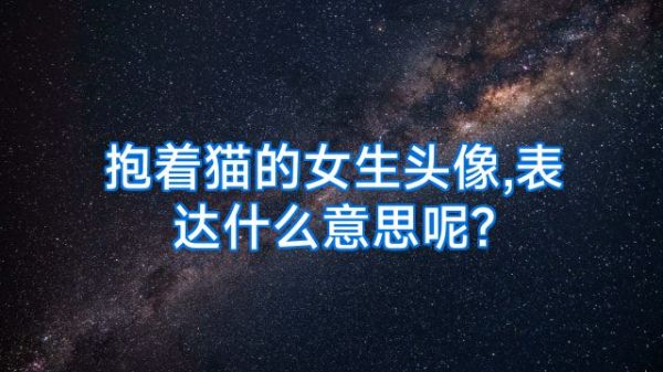 抱着猫的女生头像,表达什么意思呢?