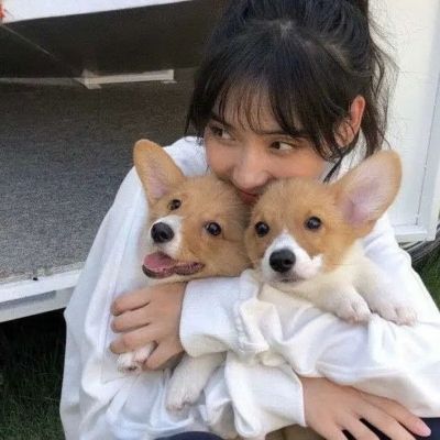 柒悦女生抱宠物头像可爱头像女生头像676767