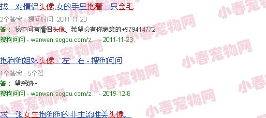 抱着金毛的女生头像图片