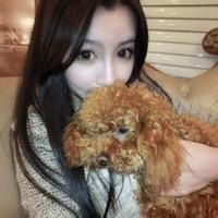 抱宠物的女生头像