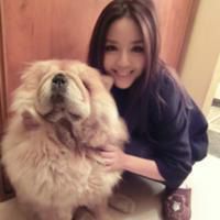 抱宠物的女生头像