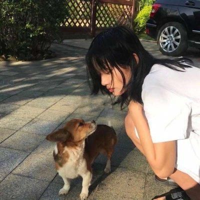 带宠物女头qq女生头像
