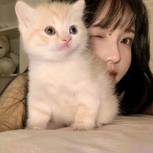 精选优质女生抱宠物温柔头像