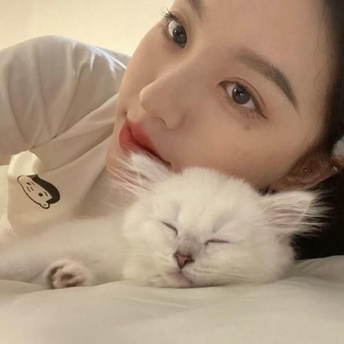 可爱搞怪的美女与宠物头像谁会拒绝呢