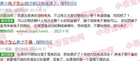 宠物兔如何饲养不臭