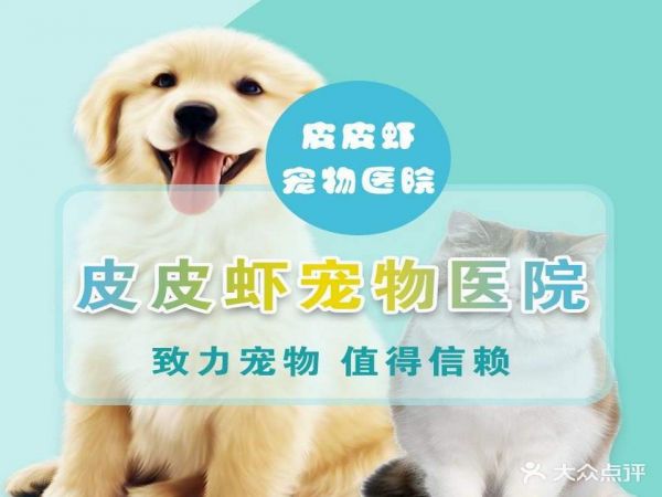 皮皮虾宠物医院