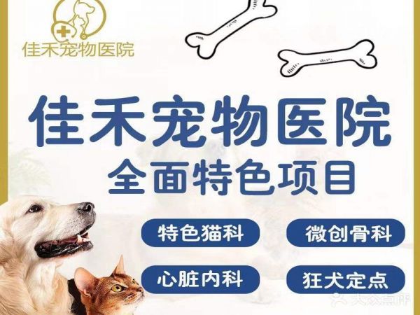 佳禾动物医院(东方华城店)