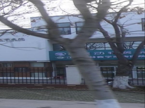 江苏农林动物教学医院