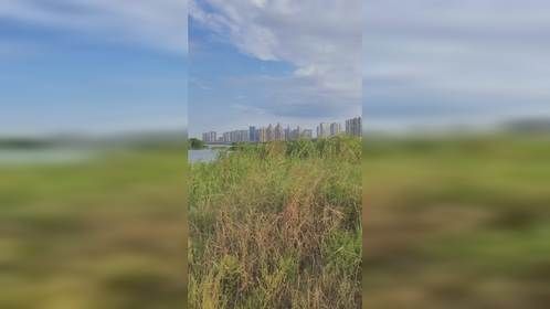 流云余锋走天下之从河中荒岛看大美临沂