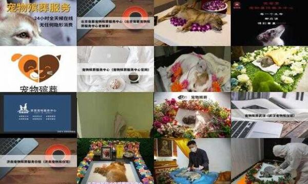 无锡宠物殡葬多少钱