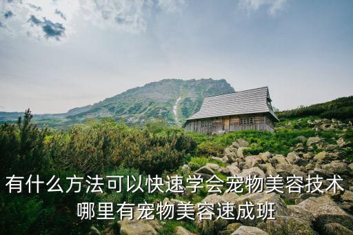 有什么方法可以快速学会宠物美容技术哪里有宠物美容速成班