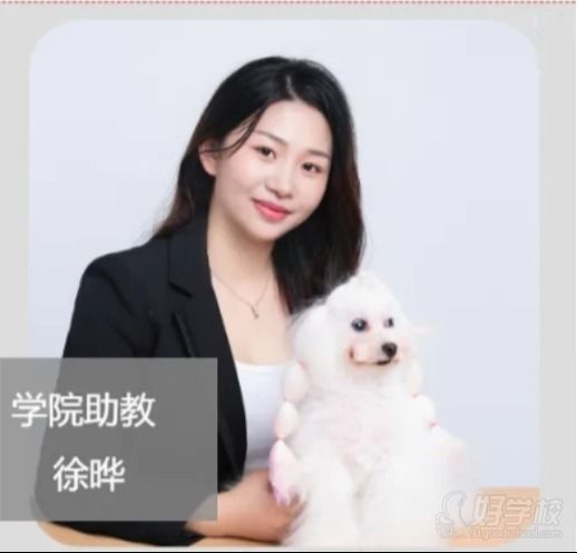 学院助教 徐晔.png