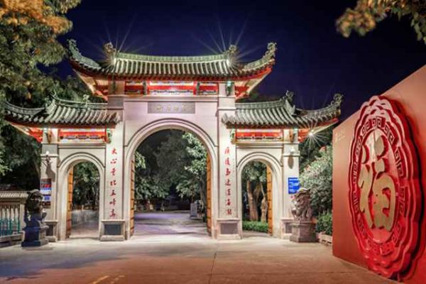 qq宠物怎么配对婚姻，宠物怎么召唤出来？