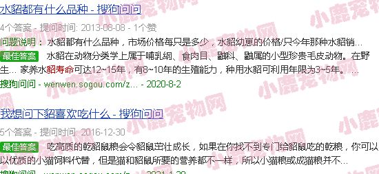 白貂寿命