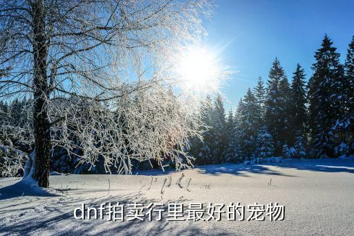  dnf拍卖行里最好的宠物