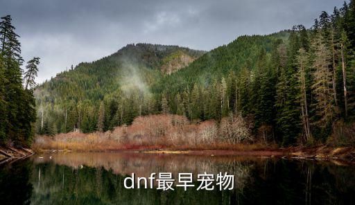  dnf最早宠物