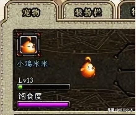 dnf哈艮地宠物怎么样