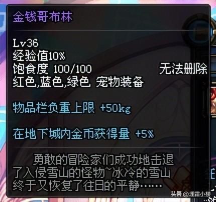 dnf哈艮地宠物怎么样