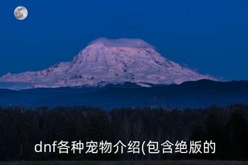 dnf亚米,好像是亚米捡破烂!游戏里最早宠物有3只