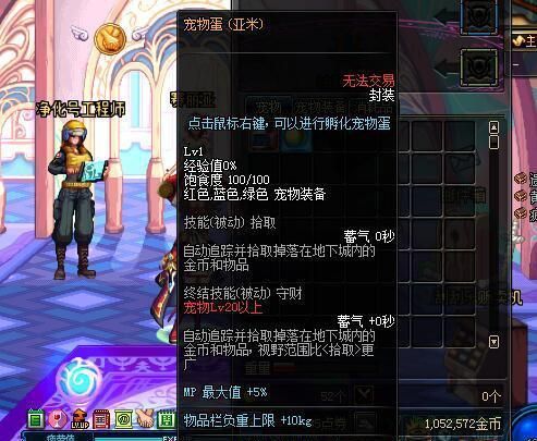 DNF曾经的抢钱神宠“亚米” 现在变逗比废柴!