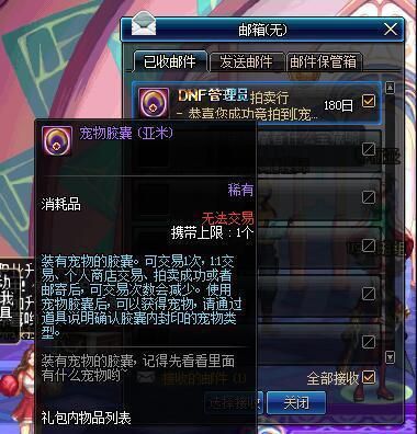 DNF曾经的抢钱神宠“亚米” 现在变逗比废柴!