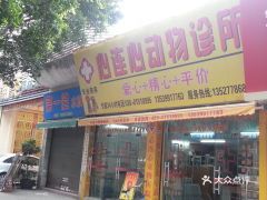 南坪宠物市场营业时间？ 东营的宠物市场在那？