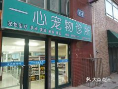 南坪宠物市场营业时间？ 东营的宠物市场在那？