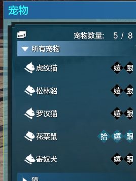 13.png