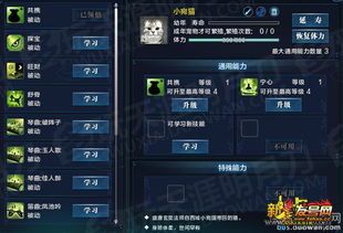 天刀宠物攻略大全？最强宠物排行榜及养成技巧