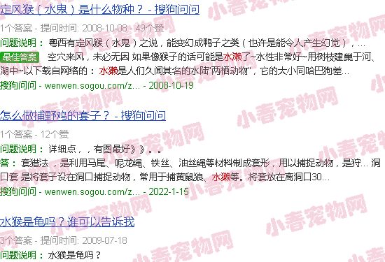 水濑和水獭图片