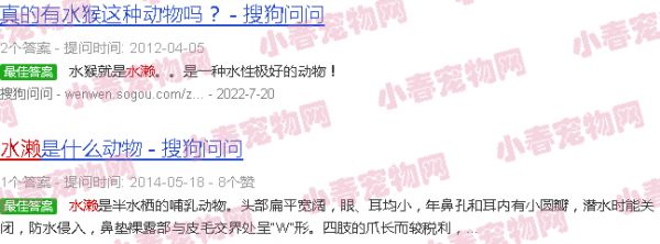 水濑和水獭