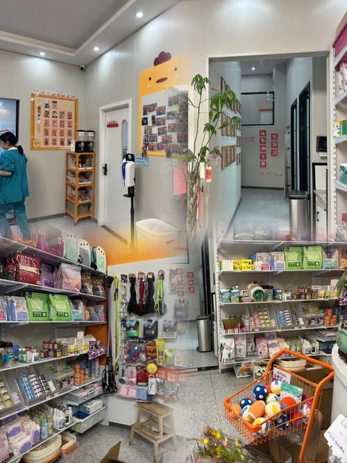 西南宠物医院，都江堰哪里有宠物医院哦？