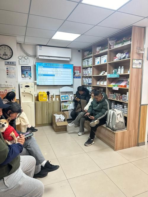 西南宠物医院，都江堰哪里有宠物医院哦？