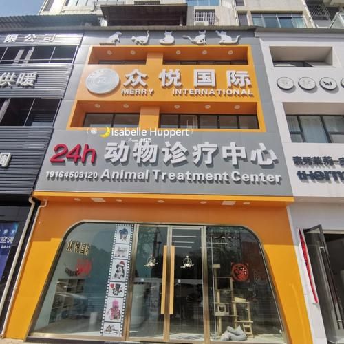 都江堰宠物医院哪家好,都江堰宠物医院哪家好一点
