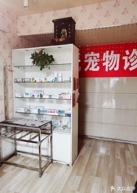 都江堰宠物医院推荐,都江堰宠物医院哪家好