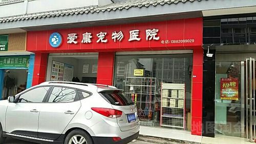 都江堰宠物医院推荐,都江堰宠物医院哪家好