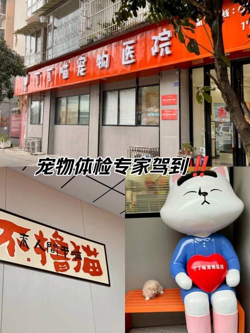 都江堰便宜的宠物医院，都江堰便宜的宠物医院在哪里