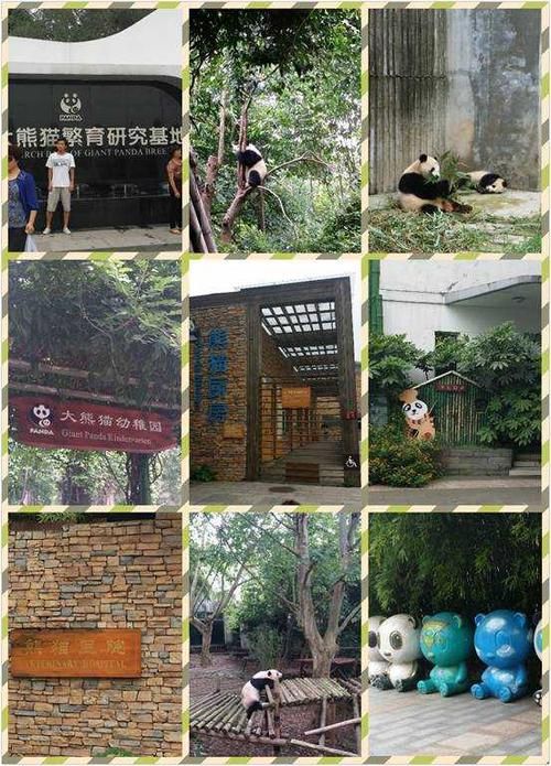 都江堰宠物医院在哪里,都江堰宠物吧