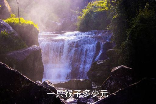一只猴子多少元