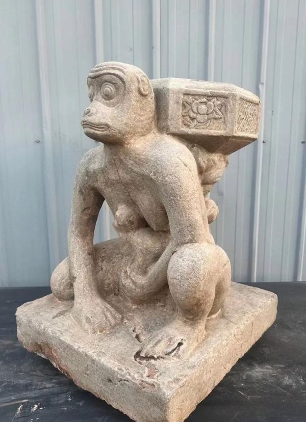 石猴多少钱一只（石猴多少钱一只违法吗）