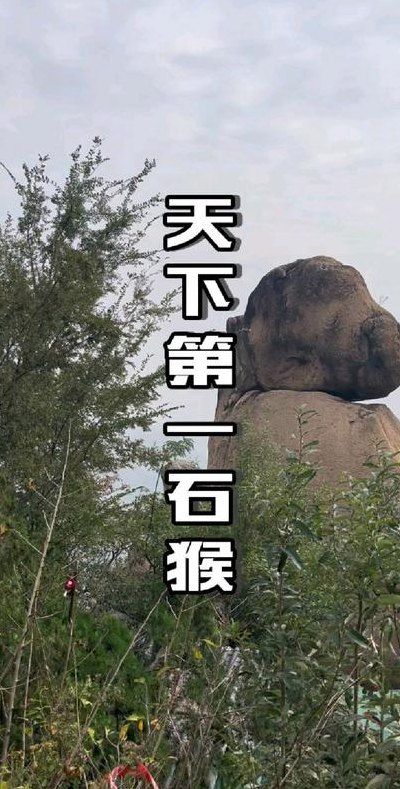 石猴多少钱一只（石猴多少钱一只违法吗）