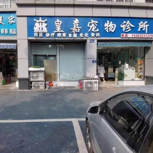 资兴宠物医院,资阳宠物医院