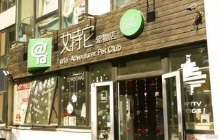 如何给宠物店取名？宠物店铺名字灵感和创意指南