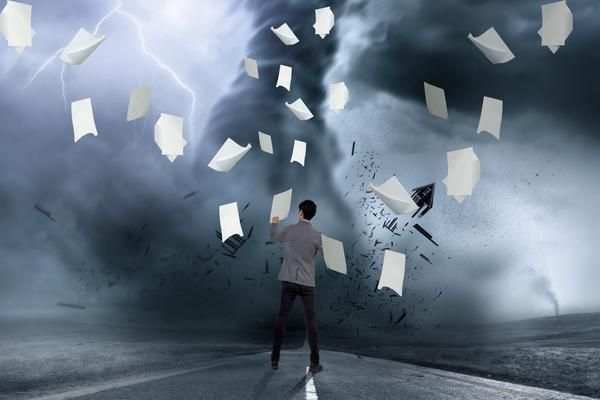 宠物狗买卖纠纷案例大全：法律视角下的权利义务与责任分析 图2