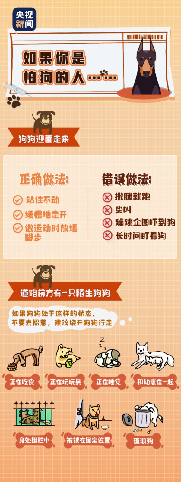  这些犬，呼和浩特市区禁养！相关图片