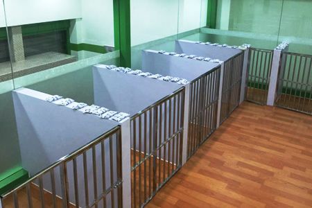  宠物店地址选在哪里好