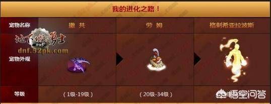 dnf宠物大全，dnf中带什么宠物比较帅气？