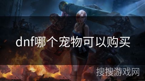 dnf哪个宠物可以购买