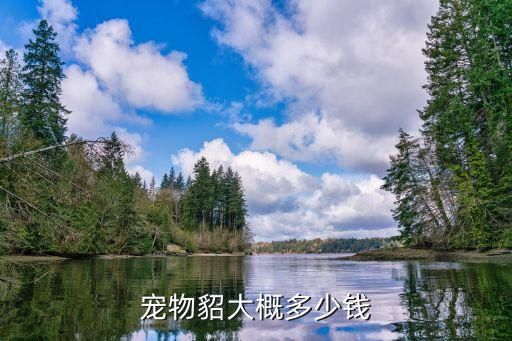 宠物貂大概多少钱
