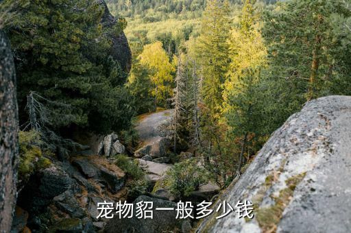 宠物貂一般多少钱
